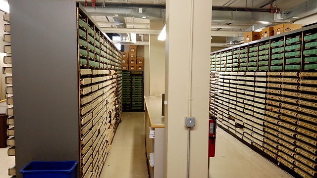 Camden Hall of Record - 3
