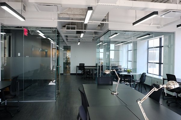 bond collective  18303
