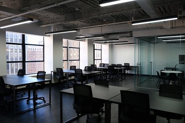 bond collective  18335