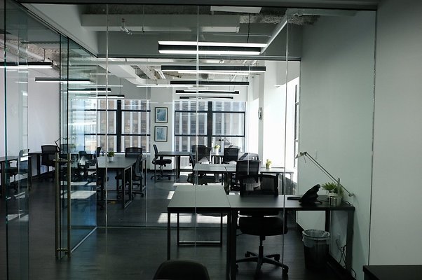 bond collective  18287