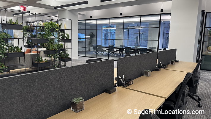 437 Madison Ave - 4